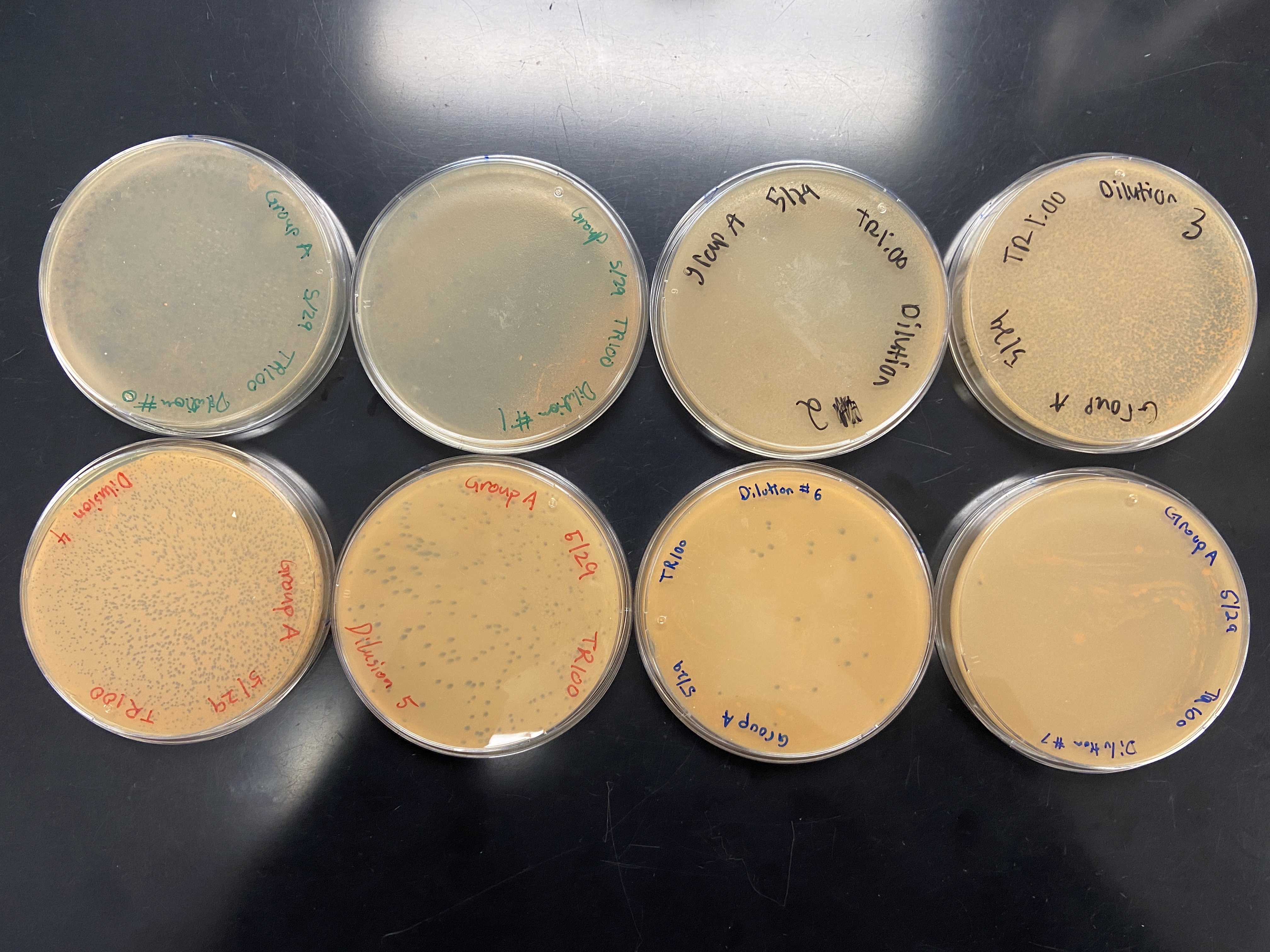 Microphage