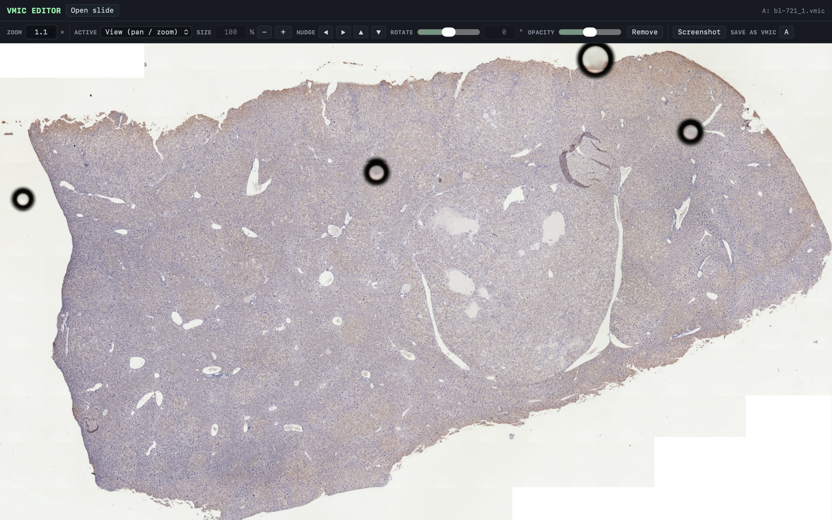 VMIC Editor displaying overlaid whole-slide images